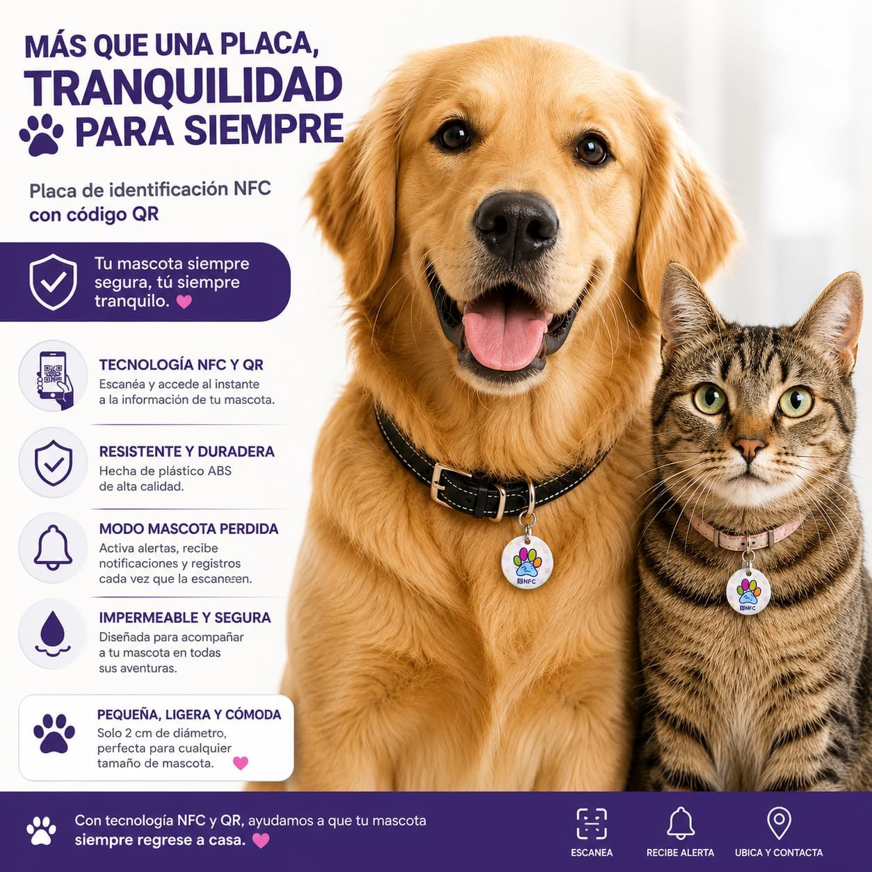Placa Smartag de acero inoxidable — diseño premium